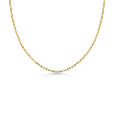 Dainty 9ct YG Box Chain Necklace