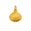 Large Clam Shell Charm – Carins Jewellery Design