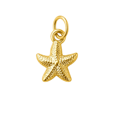 Mini Starfish Charm – Carins Jewellery Design